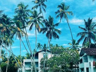 Stay at the Villa Bentota