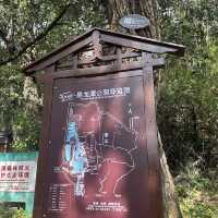 Discover the Magic of Lijiang's Black Dragon Pool