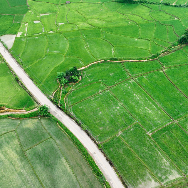 เมืองคอง เมืองคอง