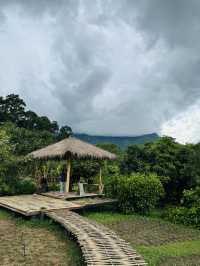 Pronto Coffee @ Chiang Dao 
