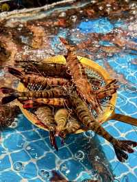 深圳‼️吃回本的海鮮•榴蓮自助，誰懂…