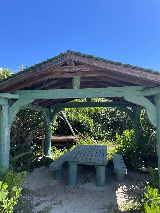 奄美大島　自然のトンネルの先にある絶景🏝️