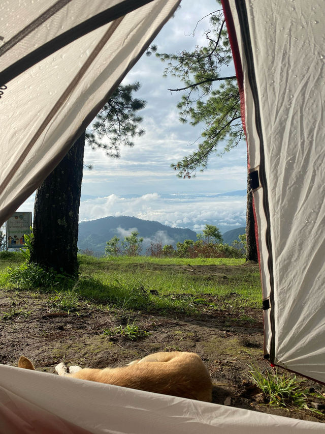 ม่อนสน | เชียงใหม่ 🏕️🌧️⛰️🐶