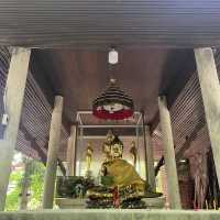 เดินลอดซุ้มประตูโพธิ์