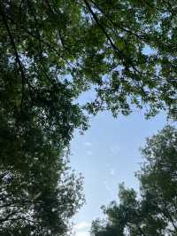 한적한 한강공원 추천! 광나루 한강공원💙