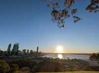 Kings Park and Botanic Garden
