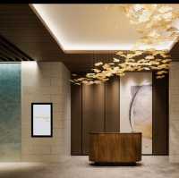 Contemporary Comfort at Courtyard Fukui