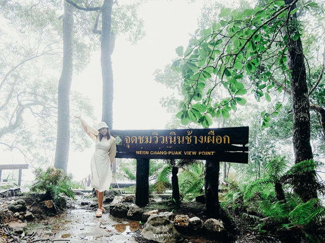 อุทยานแห่งชาติทองผาภูมิ