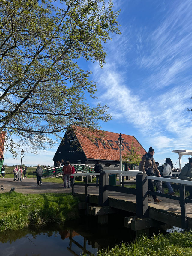 Discover the Charm of Zaanse Schans, Netherlands 🇳🇱 