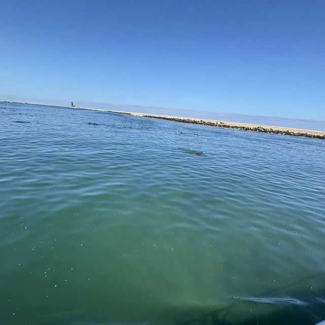 【ウォルビスベイ旅行】