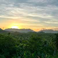 Northern siargao island - palm tree heaven