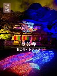 〜神奈川県〜関東の花寺、鎌倉長谷寺秋のライトアップ