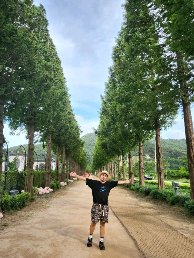 대형 우체통이 있는 덕산메타세콰이어길