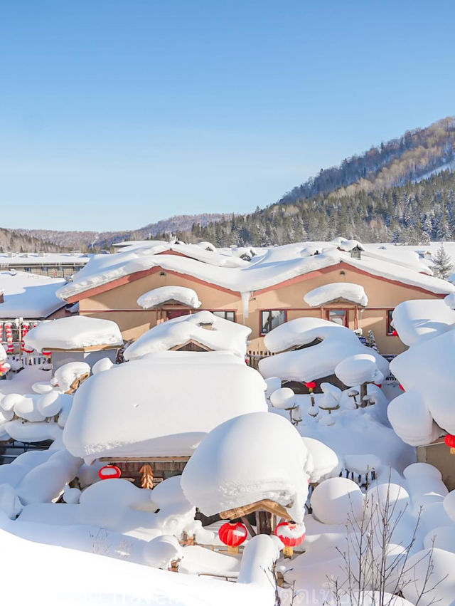 ตะลุยหมู่บ้านหิมะ China Snow Town ฮาร์บิน