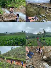 ฤดูฝนที่เปรโต๊ะลอซู จ.ตาก ⛰️🌧️🌿🥾