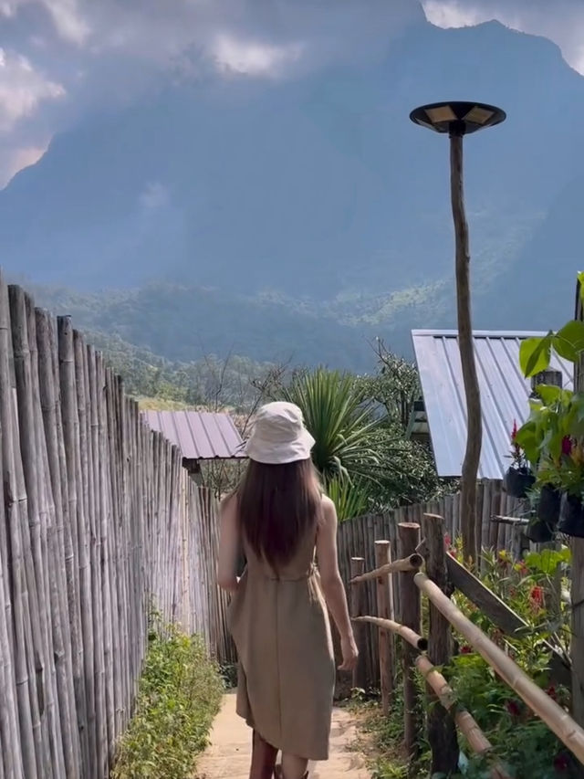 พกเงินคนละ800 ไปพักฮีลใจที่บ้านลีซูโฮม🏕️ เชียงดาว