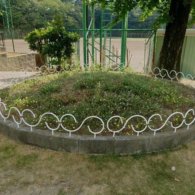 四季折々のイベント「大池公園」