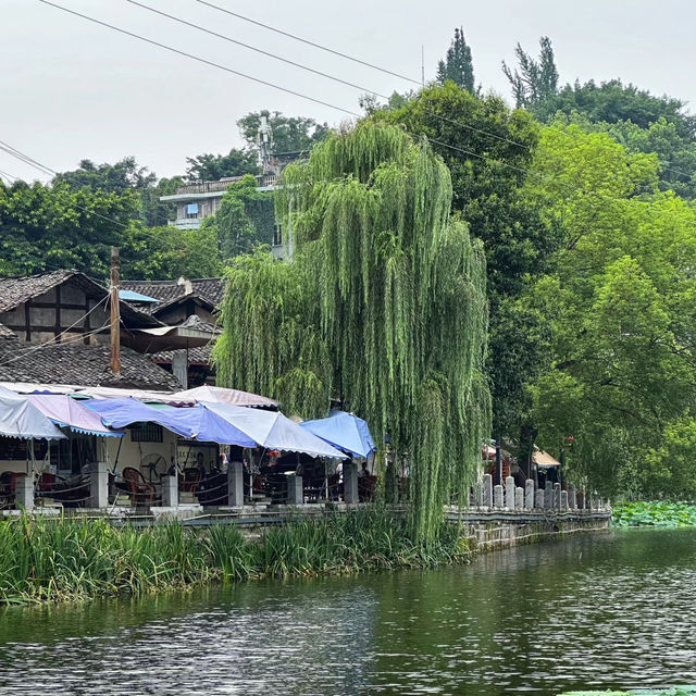 泉湖公園：詩意水榭