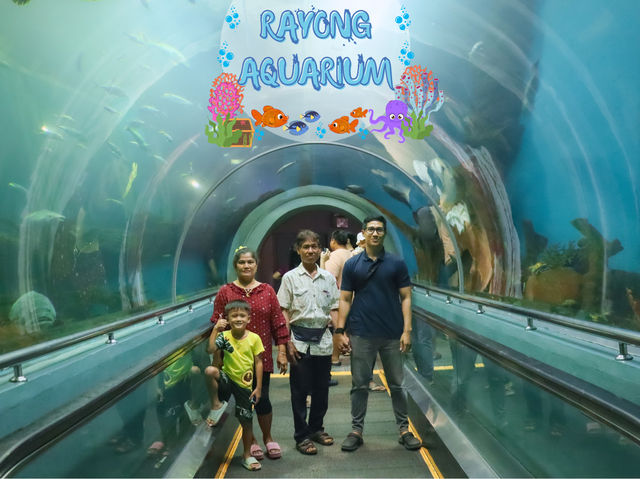 รีวิว "ระยอง อควาเรียม" 🐠🐟🪼