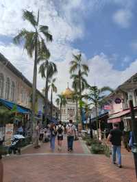 My Singapore Cityday Tour: Bugis Street and Haji Lane