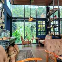 We Story Cafe