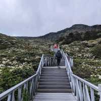 4000m Cangshan Moutain Views Via Relaxing Cable Car Ride