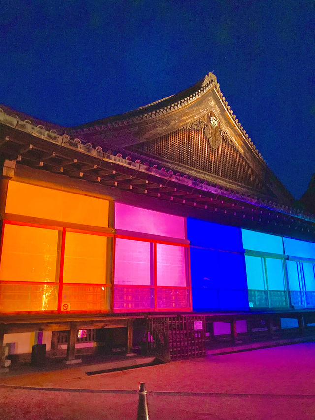 【京都旅】期間限定 ライトアップされた夜の二条城