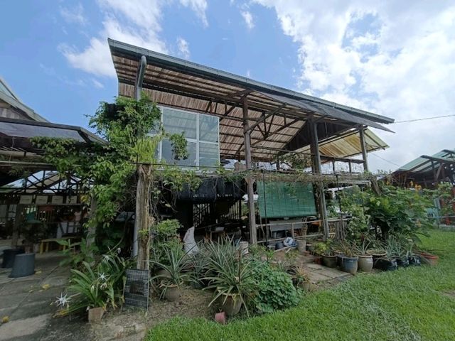 NICTAR PINEAPPLE PARK