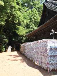 【石川】縁結びの神様でも有名な、金沢最古の歴史ある神社