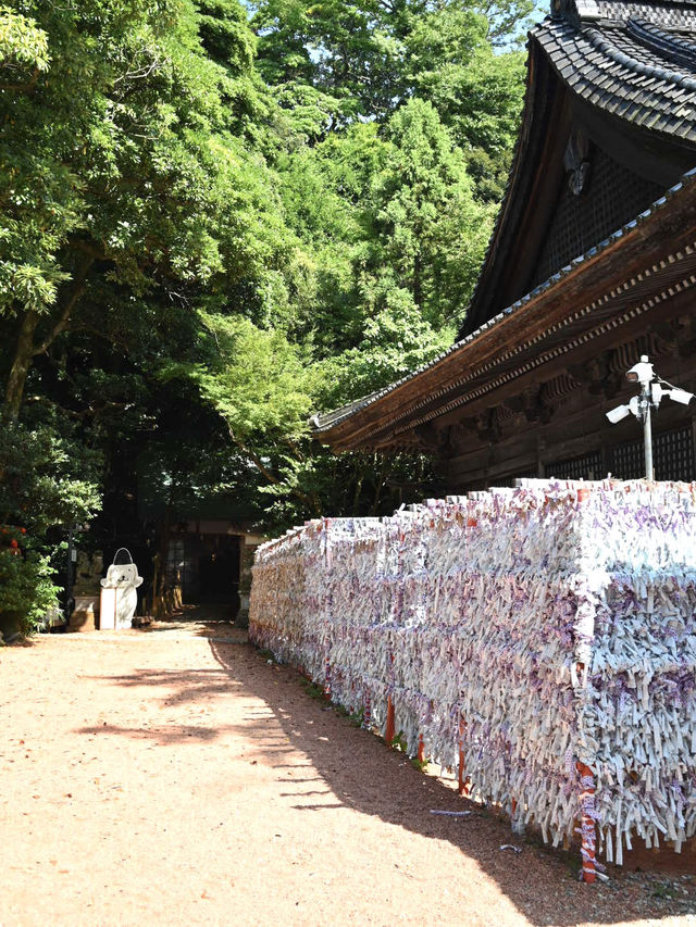 【石川】縁結びの神様でも有名な、金沢最古の歴史ある神社