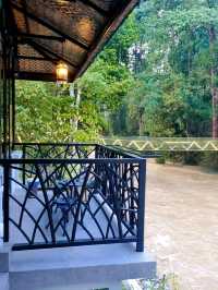 A WEEKEND BY THE RIVER, FOREST SANCTUARY