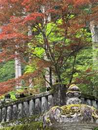 Golden Intricate Temple in Nikko