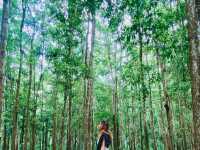 Safe and sound in Guimaras