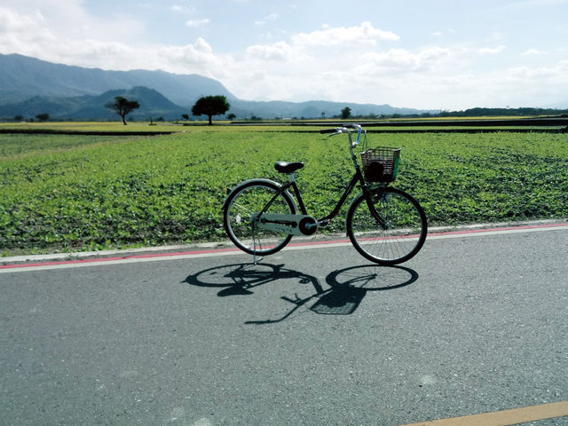 單車遊池上伯朗大道：絕美景色