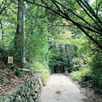 搭纜車：輕鬆上高尾山
