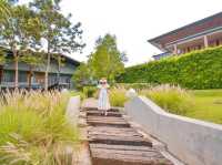 พักรีสอร์ทหรูเขาใหญ่สระว่ายน้ำสวยไปหาน้องอัลปาก้า