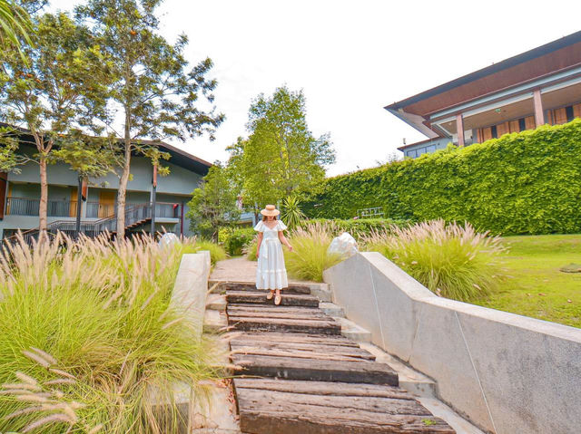 พักรีสอร์ทหรูเขาใหญ่สระว่ายน้ำสวยไปหาน้องอัลปาก้า