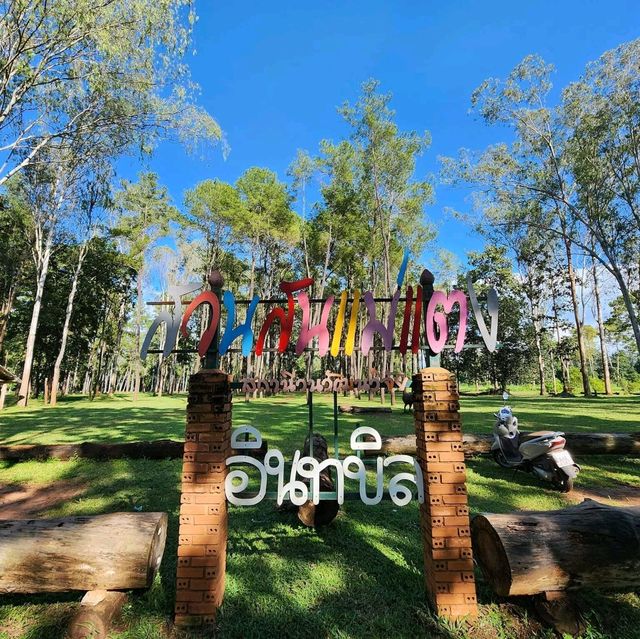 🌲สวนสนแม่แตง เชียงใหม่