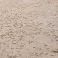 เนินทรายงาม GrandSandDune