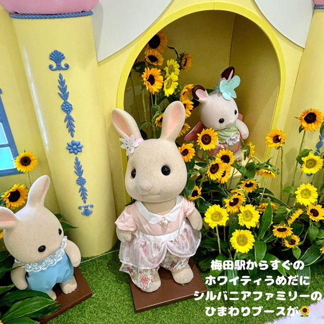 【梅田】1万7000本のひまわりとシルバニアファミリーがくれる幸せ💖