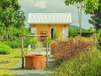 ทุ่งดอกไม้ เขาจีนแล Flower House ลพบุรี 