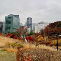 Namsan Park #seoul #southkorea 