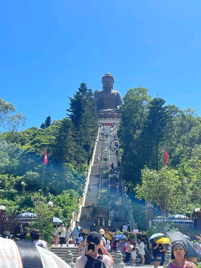 홍콩의 숨겨진 사진 명소 ! 가족여행 코스 강추 ! 란타우 섬 뿌시기 !