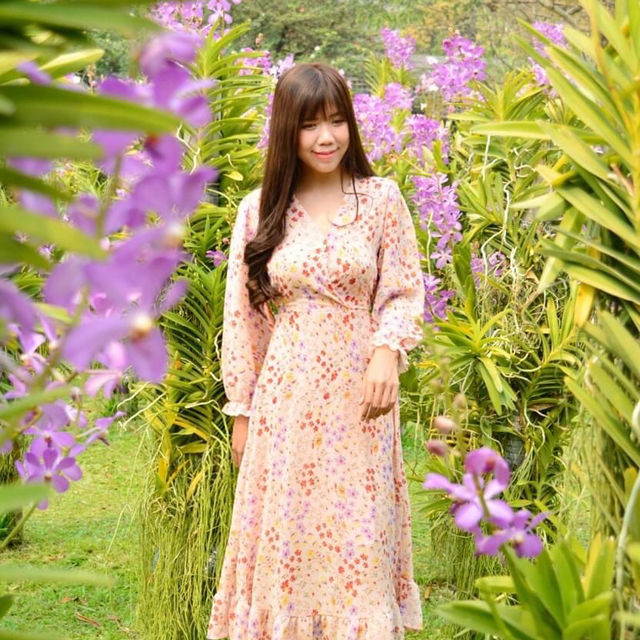 มาชมสวนกล้วยไม้สวยๆที่แม่ริม