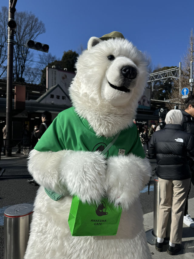 くまさんがドリンクを手渡してくれるカフェ🧸🥤✨