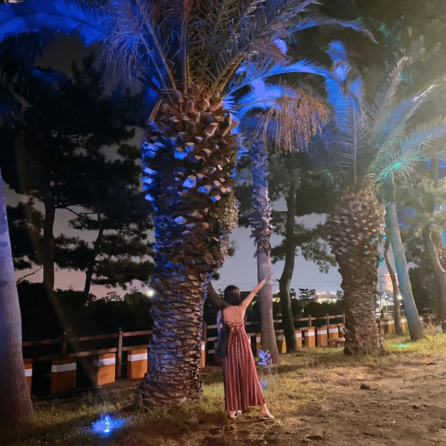 맑은 바다 수영 핫플 장소💛