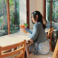 ใกล้บ้าน • In The Garden ~ คาเฟ่ในสวน