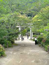 Kikko Park 