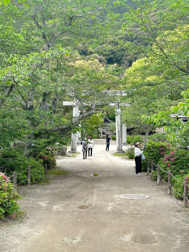 Kikko Park 