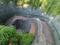 Fort Canning Tunnel แนวธรรมชาติ